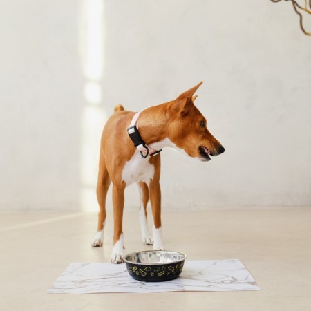 Metal bowl for the dog "Steak", 450 ml, 14x4.5 cm-6