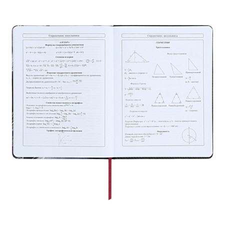 Diary 1-11 Grade "Magnolia", artificial leather, with lisasa, 48 sheets-10