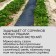 Protective strip for aisles, mulching 10 × 0.3 m, density 80 g/m², spanbond with a UV stabilizer, black, Greengo, economy 30%