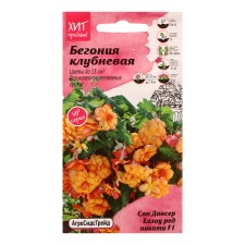 Club flowers corms 