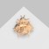 Brooch "Beetle", pink color in gold