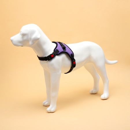 Cluck K7 soft reflective, size XL, OG 74-92 cm, weight 28-47.5 kg, purple-1