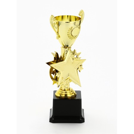Cup 193, award figure, gold, plastic stand, 23 x 9 x 7.5 cm-2