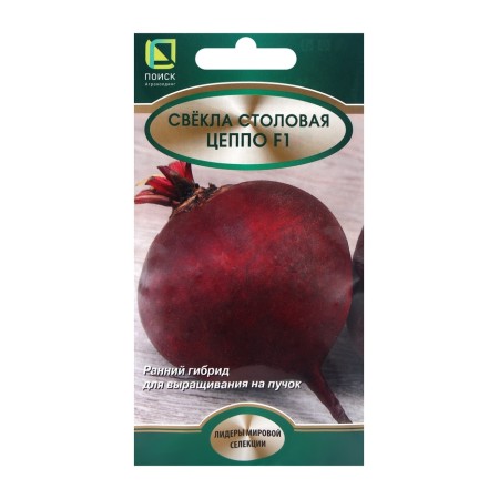 Seeds of beetroot dining room Zeppo, F1, 2gr