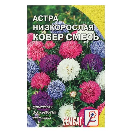 Flowers of Astra "Carpet", stunted, mixture, 0.2 g-2