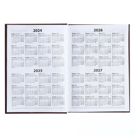 The diary half-dantered for 4 years A5, 192 leaf "Leather", solid cover, silk, coffee-brown-3