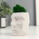 Kashpo Concrete "Head" with moss height 8.5 cm white (moss green stabilized)