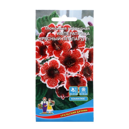Gloxinia Flowers Hybriga "Empress" Red leopard, 5 pcs,