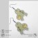 Earrings "Frog", green color in silver