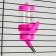 Drill for rodents "Pijon", 80 ml, pink