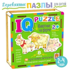 Wooden IQ puzzle 