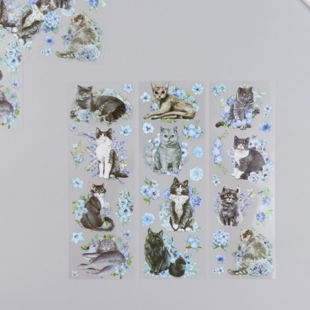 Stickers for creativity "Gray cats and blue flowers" set of 6 sheets 18x6 cm