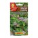 Baby salad seeds "Bright mix", 0.5 g