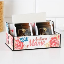 The kitchen organizer 