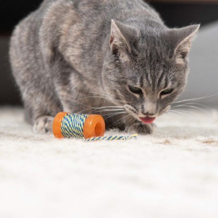 Petstags toy "Orc coil with a rope" for cats-2