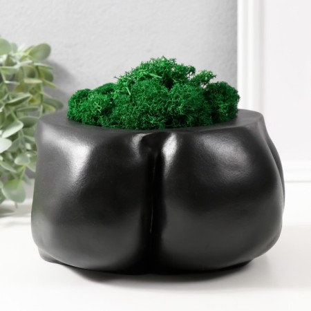 Concrete Kashpo "Dignity" with moss height 10 cm, width 17 cm black (moss green stabil)-2