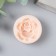 Silicone Mold "Rose" d = 2.3 cm mix