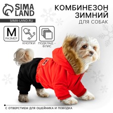 Clothing for dogs. Combineson winter 