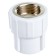 Combined "Politek" coupling, polypropylene, 25 mm x 3/4 ", internal thread