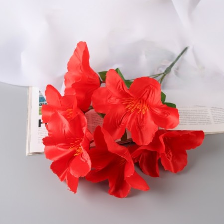Bouquet "Adenium Extra Galant" D-14 cm 30 cm, mix