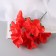 Bouquet "Adenium Extra Galant" D-14 cm 30 cm, mix