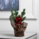 Figure LED "Christmas tree and berries" 25 x19 x7 cm, 10 LED, AG13X3 batteries (included), glow warm white
