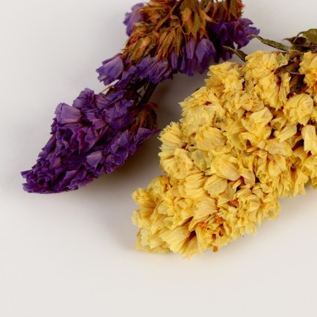 Set of dried flowers "Spring"-2