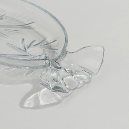 Glass candidate Sunstar-2