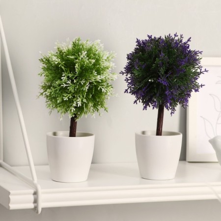Bonsai in the pot of "leaflets-peaks" 20 cm, mix-3