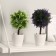 Bonsai in the pot of "leaflets-peaks" 20 cm, mix
