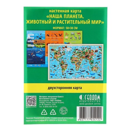 Nast -sided bilateral map "Our planet. Animal and plant world", geod, 58x38 cm-5