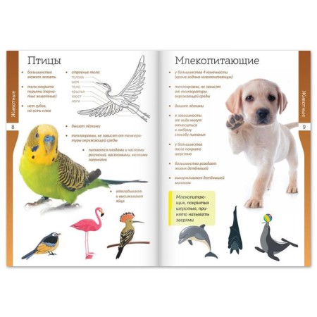 A set of books-scrolls "World of Nature and Man", 6 pcs.-3