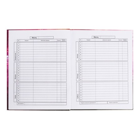 School diary for grades 1-11 Infinity, covered cardboard, glossy lamination, foil embossing, universal cheat sheet, 48 sheets, block 65g/m2-7