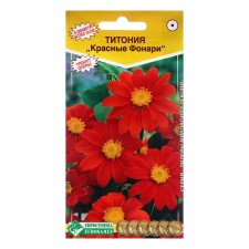 Titonium seeds 