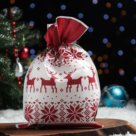 Gift bag "Scandinavia", 22x31 cm