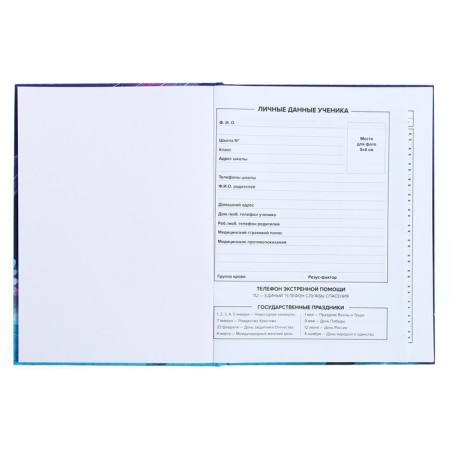 Universal Grade 1-11 Diary, 48 sheets "Magic World", hard cover, Soft Touch lamination, foil embossing, offset block-4