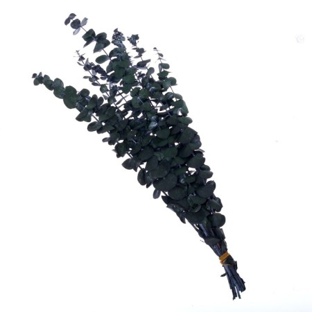 Sukhotzet "eucalyptus tree", green, 10 pcs. packaged-4