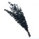 Sukhotzet "eucalyptus tree", green, 10 pcs. packaged