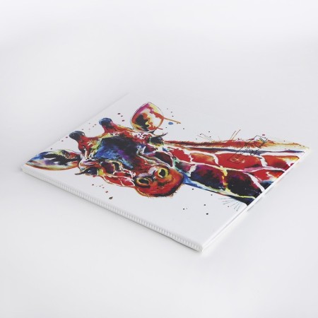 Folder for documents, 4 sets, white color-3