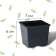 Pot for seedlings, 180 ml, D = 7 cm, h = 6 cm, black, Greengo