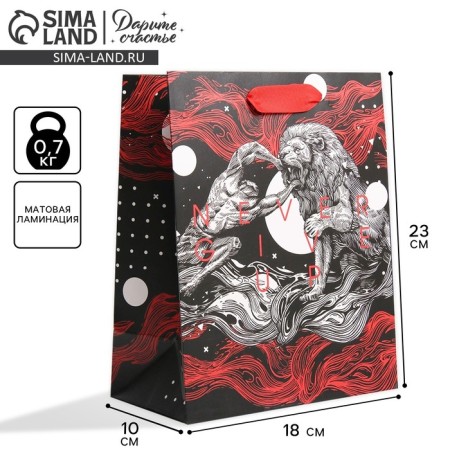 Gift laminated vertical, packaging, “Hercules”, MS 18 x 23 x 10 cm