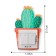 The switch lining, interior stickers, decor on the wall, with luminous elements