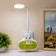 Sconces with Moderny rosettes LED 5W white-green 15.5x3.4x42 cm
