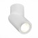 Ceiling lamp ST LUCE. ST650.502.01. 1x50 W, GU10, 6.2x6.2x15.1 cm, white color