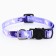 A collar for cats with Fasteks "Moore, Moore", 30 x 1 cm