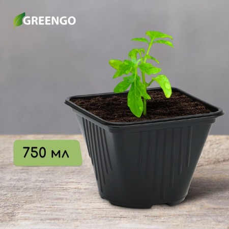 Pot for seedlings, 750 ml, D = 8.5 cm, h = 12 cm, black, Greengo