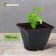 Pot for seedlings, 750 ml, D = 8.5 cm, h = 12 cm, black, Greengo