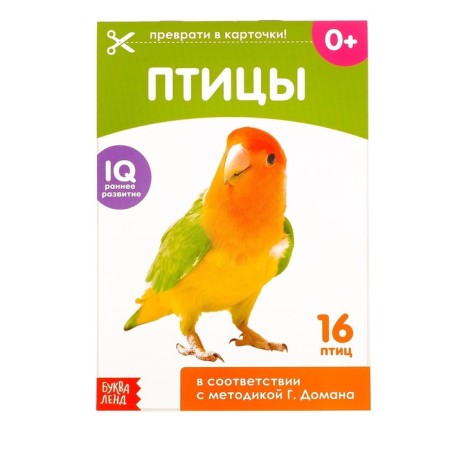 Educational cards of Doman "Birds", on the paperwork, 20 p.