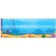 In the animal world. Tropical seas. Minisheva T.