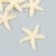 Decor for creativity Plastic "Yellow Sea Star" Sugar 3.8x0.5x3.8 cm